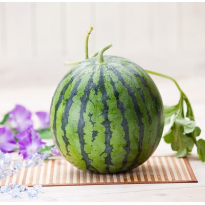 熊本市植木産 すいか Lサイズ 1玉(約6kg)
