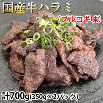 国産牛 ハラミ味付け 計700g(350g×2パック)(熊本市)