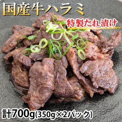 国産牛 ハラミ味付け 計700g(350g×2パック)(熊本市)