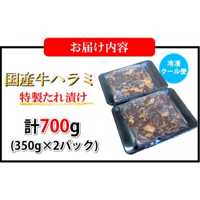 国産牛ハラミ 特製たれ漬け 計700g(350g×2パック)(熊本市)
