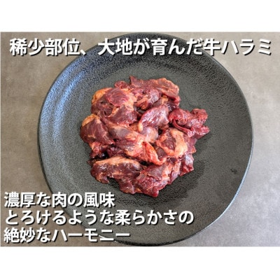 国産牛 ハラミ味付け 計700g(350g×2パック)(熊本市)