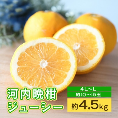 河内晩柑ジューシー　約4.5kg(熊本市)