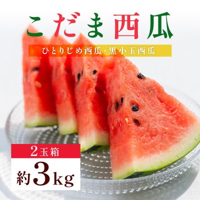 小玉スイカ 2玉(2Lサイズ以上)(熊本市)