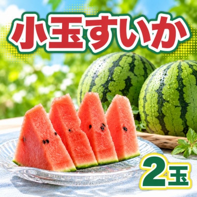 小玉スイカ 2玉(2Lサイズ以上)(熊本市)