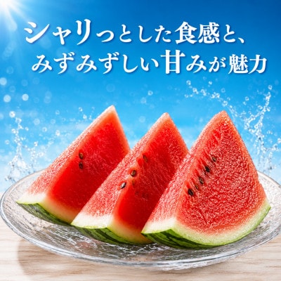 小玉スイカ 2玉(2Lサイズ以上)(熊本市)
