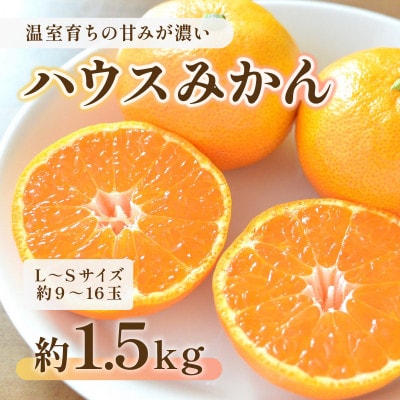 ハウスみかん　約1.5kg(熊本市)