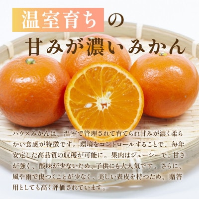 ハウスみかん　約1.5kg(熊本市)