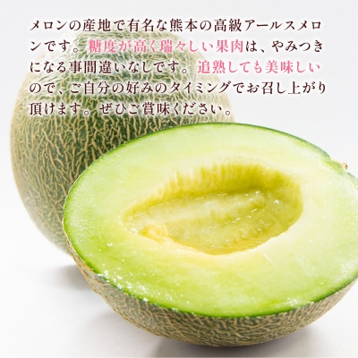 アールスメロン 1玉 約1.3kg(熊本市)