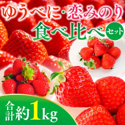 熊本県産いちごセット(ゆうべに+恋みのり)約1kg(熊本市)