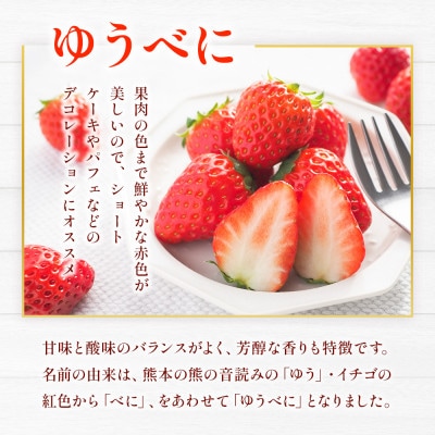 熊本県産いちごセット(ゆうべに+恋みのり)約1kg(熊本市)