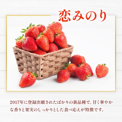 熊本県産いちごセット(ゆうべに+恋みのり)約1kg(熊本市)