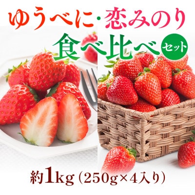 熊本県産いちごセット(ゆうべに+恋みのり)約1kg(熊本市)