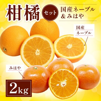 柑橘セット 国産ネーブル&みはや 約2kg(熊本市)