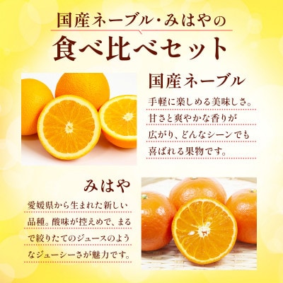柑橘セット 国産ネーブル&みはや 約2kg(熊本市)