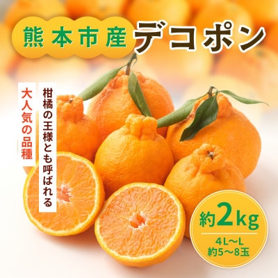 熊本県産 デコポン 約2kg(熊本市)