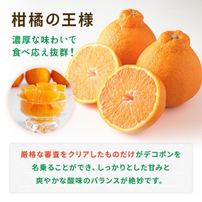 熊本県産 デコポン 約2kg(熊本市)
