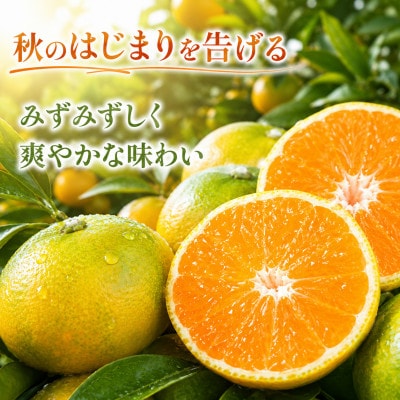 極早生みかん約5kg(熊本市)