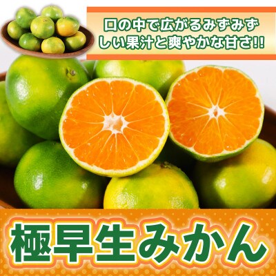 極早生みかん約7kg(熊本市)