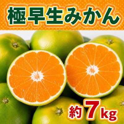 極早生みかん約7kg(熊本市)