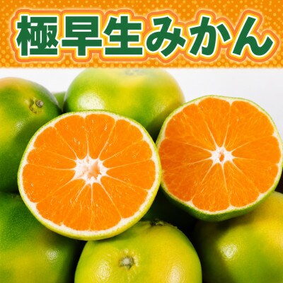 極早生みかん約10kg(熊本市)