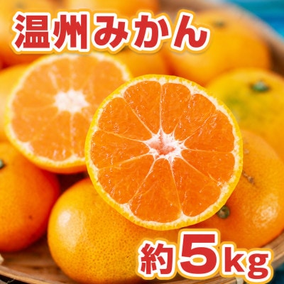 温州みかん 約5kg(熊本市)