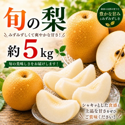 旬の梨(豊水またはあきづき梨) 約5kg (熊本市)