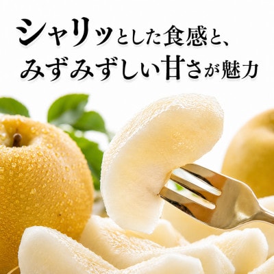 旬の梨(豊水またはあきづき梨) 約5kg (熊本市)