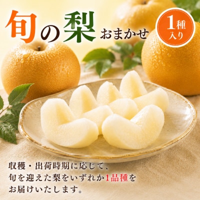 旬の梨(豊水またはあきづき梨) 約5kg (熊本市)