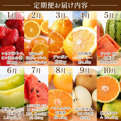 【発送月固定定期便】旬の果物【2027年1月～10月発送予定】全10回