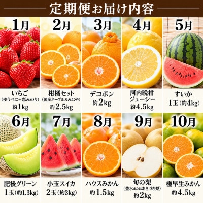 【発送月固定定期便】旬の果物【2027年1月～10月発送予定】全10回