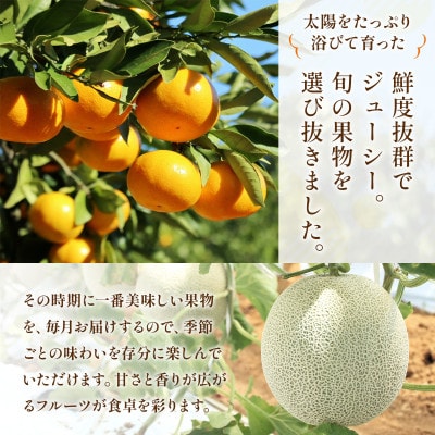 【発送月固定定期便】旬の果物【2026年2月～7月発送予定】全6回