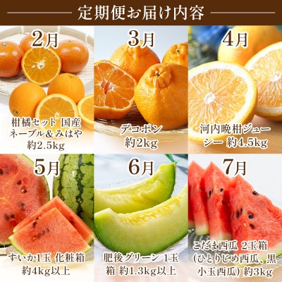【発送月固定定期便】旬の果物【2026年2月～7月発送予定】全6回