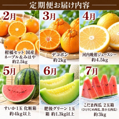 【発送月固定定期便】旬の果物【2027年2月～7月発送予定】全6回