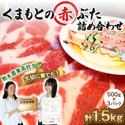くまもとの赤ぶた　詰め合わせ　1.5kg(500g×3)