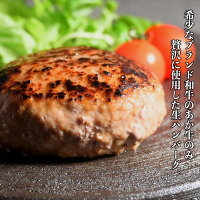 熊本県産 あか牛 100%使用 贅沢ハンバーグ 約1kg(150g×7P)【オアシス九州】(熊本市)