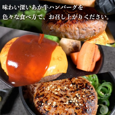 熊本県産 あか牛 100%使用 贅沢ハンバーグ 約1kg(150g×7P)【オアシス九州】(熊本市)