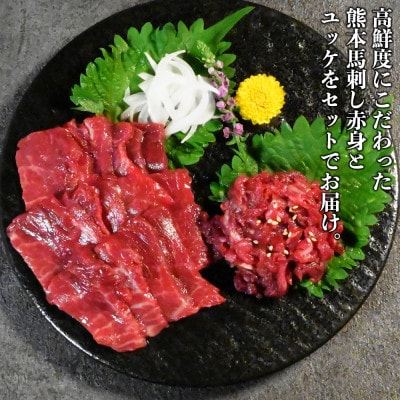 熊本特産 馬刺し 赤身(約300g)・ユッケ(約200g)セット 計500g【オアシス九州】熊本市