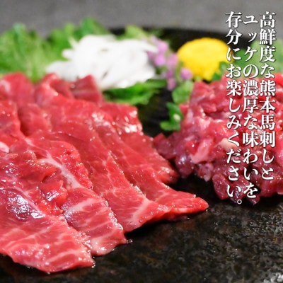 熊本特産 馬刺し 赤身(約300g)・ユッケ(約200g)セット 計500g【オアシス九州】熊本市