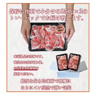 熊本和牛 あか牛 切り落とし 計500g(250g×2パック)【オアシス九州】(熊本市)