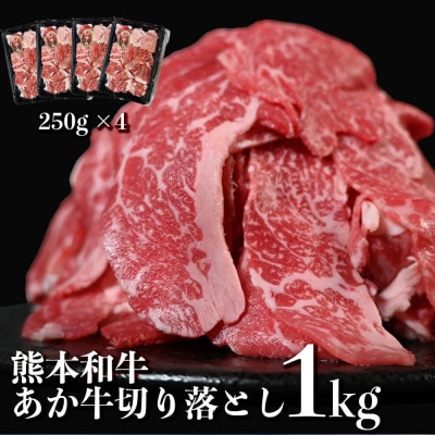熊本和牛 あか牛 切り落とし 計1kg(250g×4パック)【オアシス九州】(熊本市)