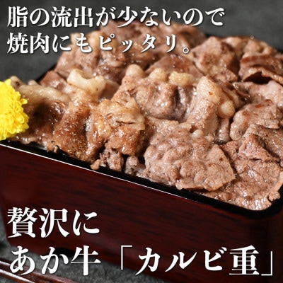 熊本和牛 あか牛 切り落とし 計1kg(250g×4パック)【オアシス九州】(熊本市)