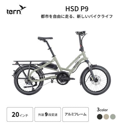 tern フォールディング イーバイク HSD P9 20インチ(熊本市)