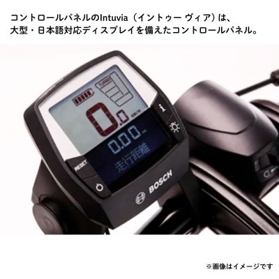 tern フォールディング イーバイク HSD P9 20インチ(熊本市)