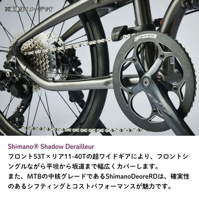 tern フォールディングバイク VERGE P10 20インチ Black (熊本市)