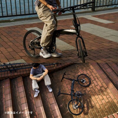 tern フォールディングバイク VERGE P10 20インチ Black (熊本市)