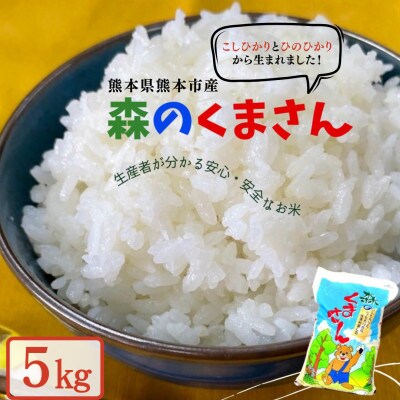 熊本県産森のくまさん(白米)5kg(熊本市)