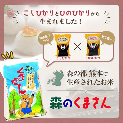 熊本県産森のくまさん(白米)5kg(熊本市)