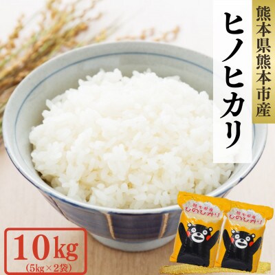熊本県産ヒノヒカリ(白米)10kg(5kg×2袋)(熊本市)