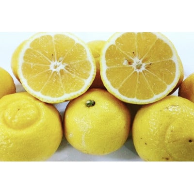 【2027年2月上旬～3月下旬発送予定】【規格外品】はるか ご家庭用 10kg サイズ不選別 熊本市