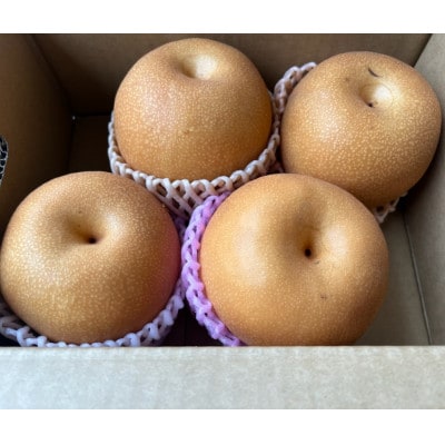 【2025年8月上旬-10月中旬発送予定】熊本市産 梨(品種おまかせ) 約1.8kg(熊本市)